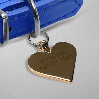 Heart Pet Tag
